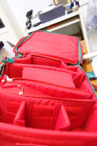 Fuji padded backpack bag - fuji,